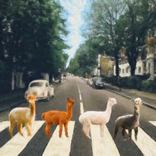 Load image into Gallery viewer, Long Sleeve T-Shirt - Adult Size