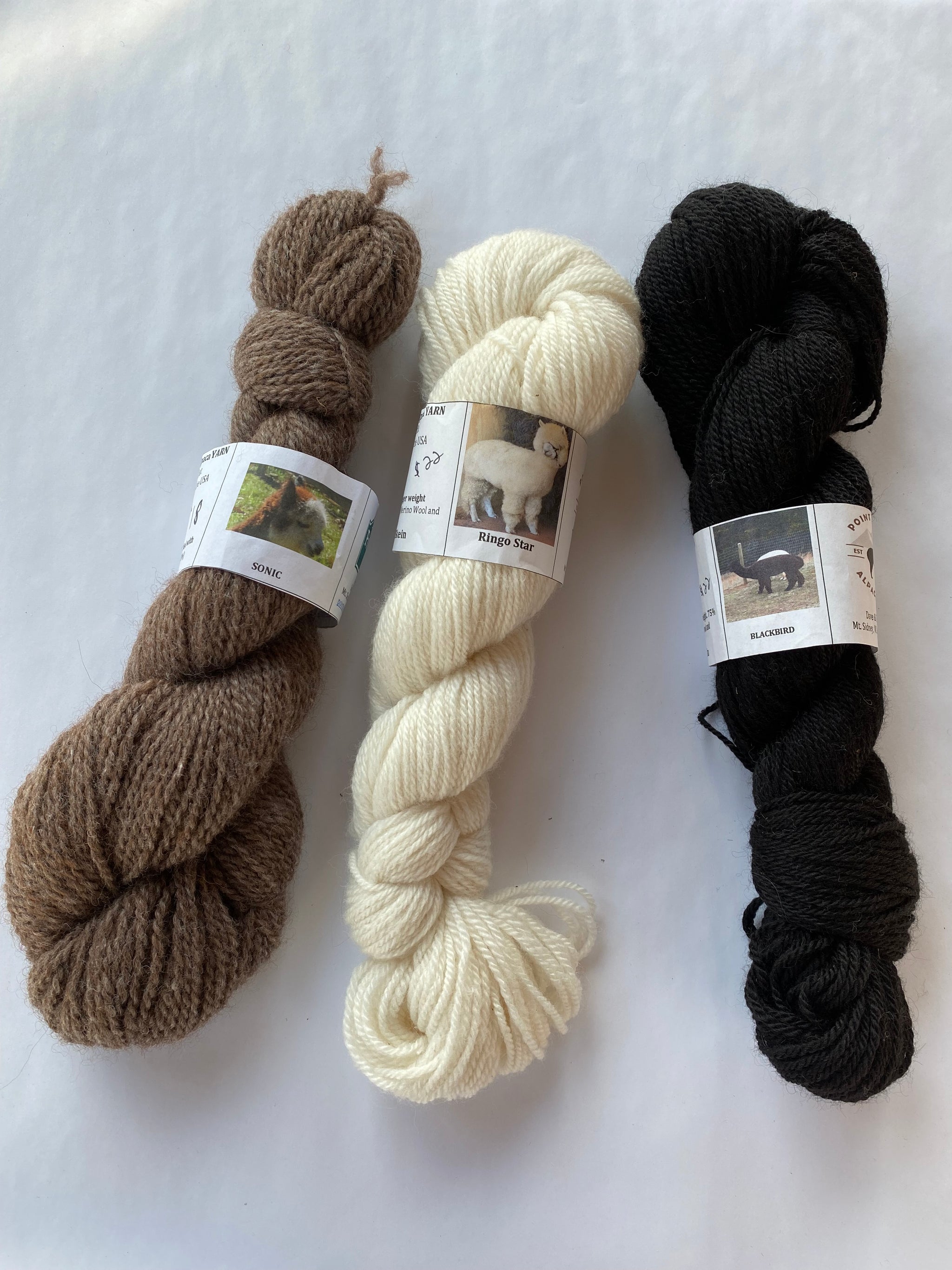 Alpaca Yarn – Point of View Alpacas